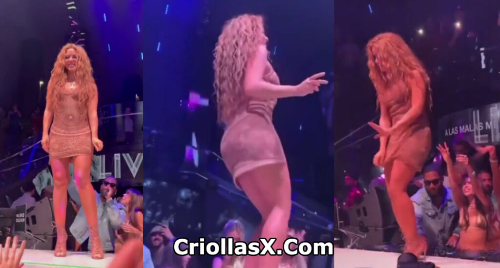 Shakira intenta grabarse debajo de la falda mientras baila - Celebridades