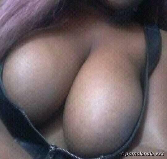 Naturaleza Libre - Cinco 2016