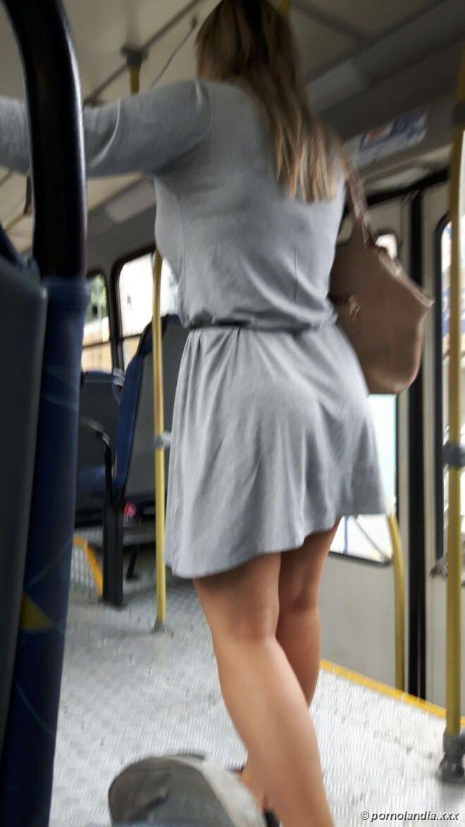 Gatos manchados en la calle - Foto 126364