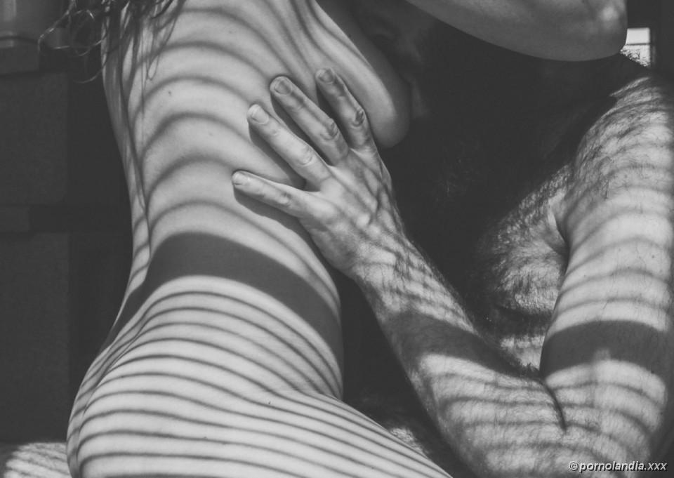 Paquete de 3 - Foto 69590