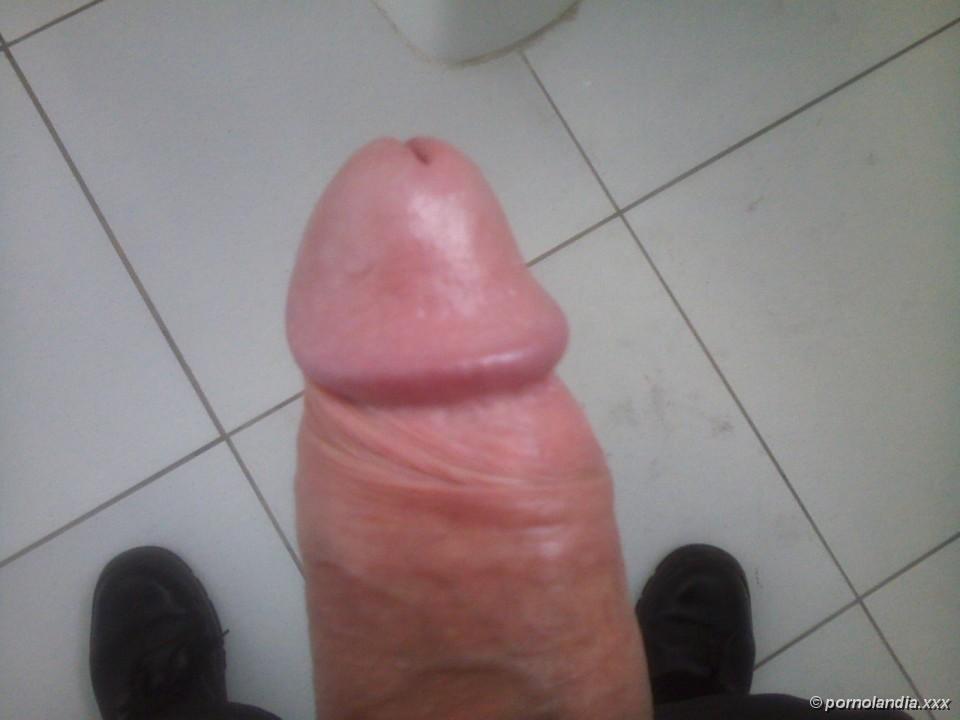 Mi Rolão - Foto 61312