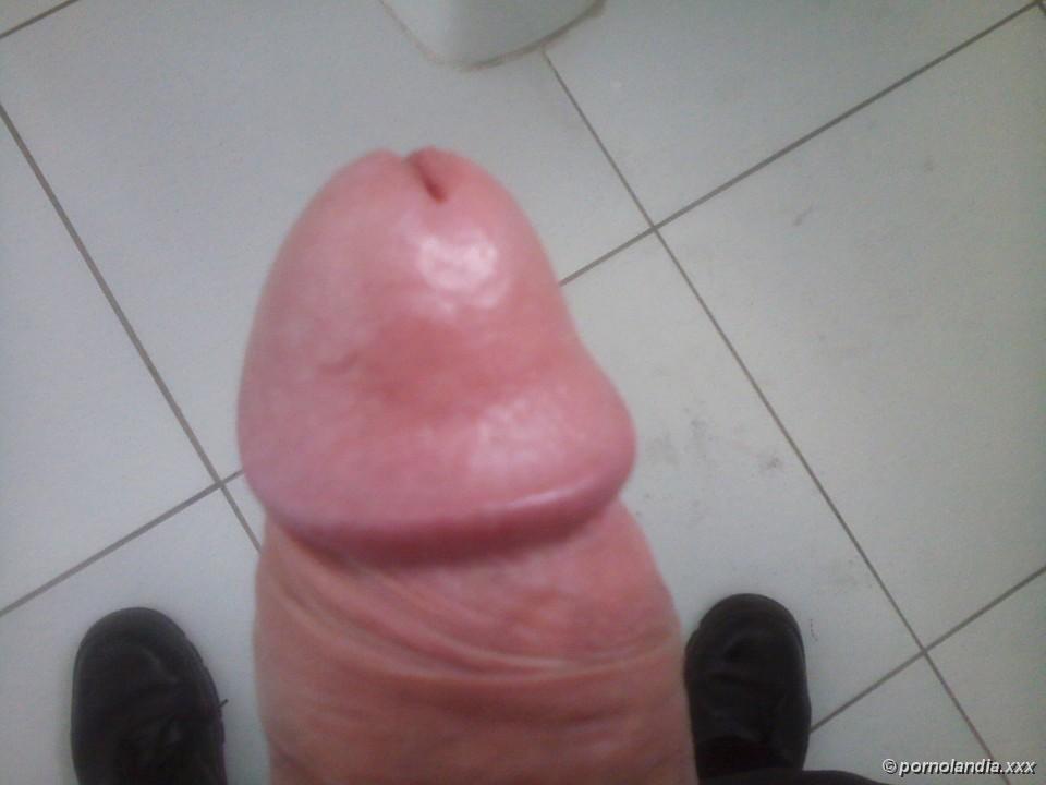 Mi Rolão - Foto 61313