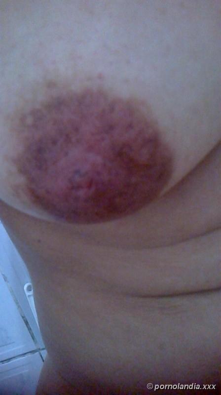 jundiaí - Foto 55401