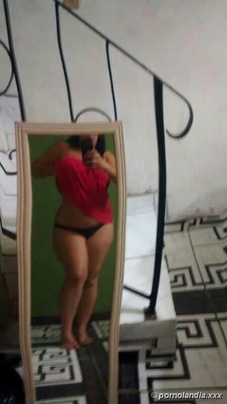 Perros Wechat - Foto 33765