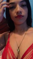 Dhrissporn dominicana de Higuey